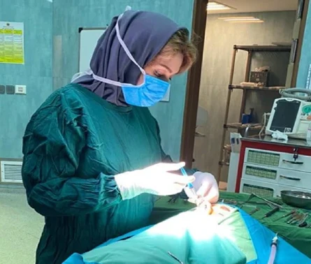 دکتر آرزو خوانساری‌نیا - بهترین جراح بینی نیمه فانتزی در تهران