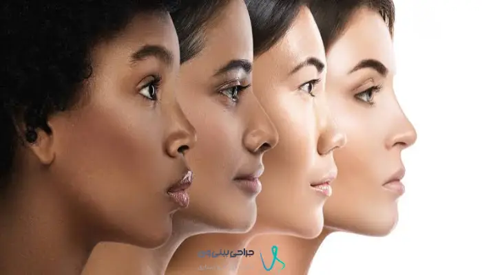 تفاوت ساختار بینی استخوانی و گوشتی از نظر پوست، غضروف و استخوان