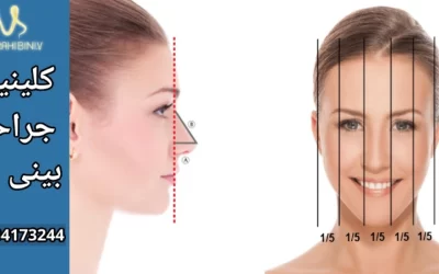 جراحی وی دکتر خوانساری-ویژگی های بینی ایده آل